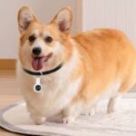 Apple Find My対応 忘れ物防止タグ  置き忘れ防止器機能 スマートトラッカー IP67防水 子供  紛失防止 忘れ物 追跡 紛失防止タグ 全2色 SKU:IPC06082024007 - Image 11