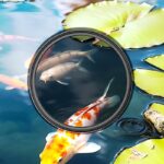 スマホレンズ レンズ フィルター 6.1inch/6.7inch スマホフィルター用磁気マウント 67mmマグネット式フィルター iPad/iPhone/Androidに対応 6フィルターセット SKU:IPC12032024034 - Image 29
