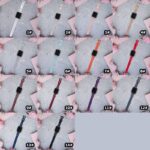 アップルウォッチ バンド シリコン ラバーバンド apple watch 44mm 45mm 46mm 49mm ULTRA シリコン ベルト