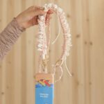 スマホショルダー 携帯ストラップ 首掛け 首かけ スマホ ショルダーストラップ 長度調節可能 ネックストラップ ショルダーストラップ