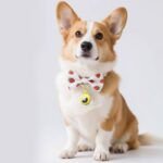 AirTag シリコン ケース キーリング 羅針盤付き AirTag 保護ケース ・猫迷子対策 エアタグ 保護カバー