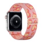 アップルウォッチ バンド ナイロンバンド Apple Watchバンド apple watch 44mm 45mm 46mm 49mm ULTRA ナイロン ベルト