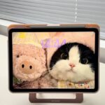 DUX DUCIS Ipad air 13 (2024/2025) iPad 用ペンスロット付きケース アップル アイパッド 背面型ケース カバーiPad Pro 13 (2024/2025) 背面型 ケース  アップルペンシル収納  全6色 SKU:PC07312026033 - 画像 (30)