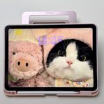 DUX DUCIS Ipad air 13 (2024/2025) iPad 用ペンスロット付きケース アップル アイパッド 背面型ケース カバーiPad Pro 13 (2024/2025) 背面型 ケース  アップルペンシル収納  全6色 SKU:PC07312026033 - 画像 (29)